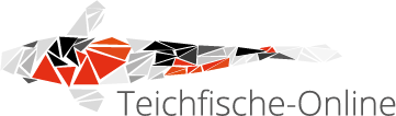Zur Startseite gehen